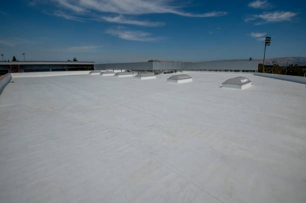 Best Chimney Flashing Repair  in Spencerville, NM