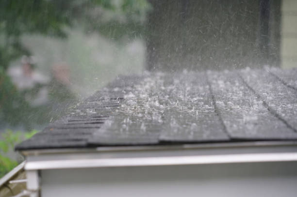 Best Roof Maintenance and Cleaning  in Spencerville, NM