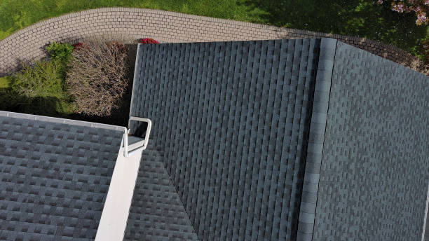 Best Roof Moss and Algae Removal  in Spencerville, NM